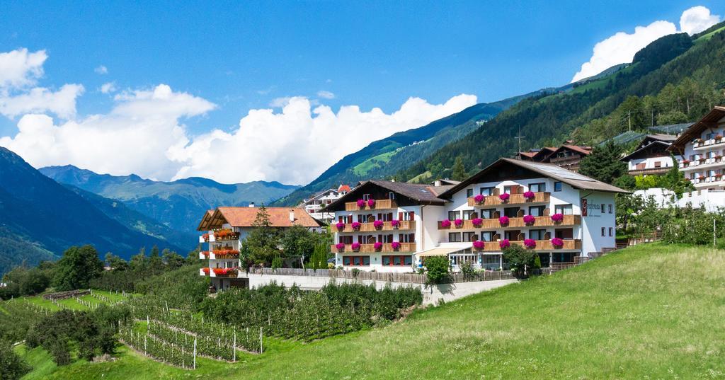 Pension Grafenau Скена Экстерьер фото
